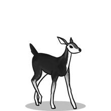 【使用教程】简单的{固定网站名称23}